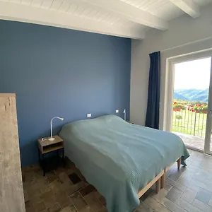 Fuoridicampo Blu Roncovetro